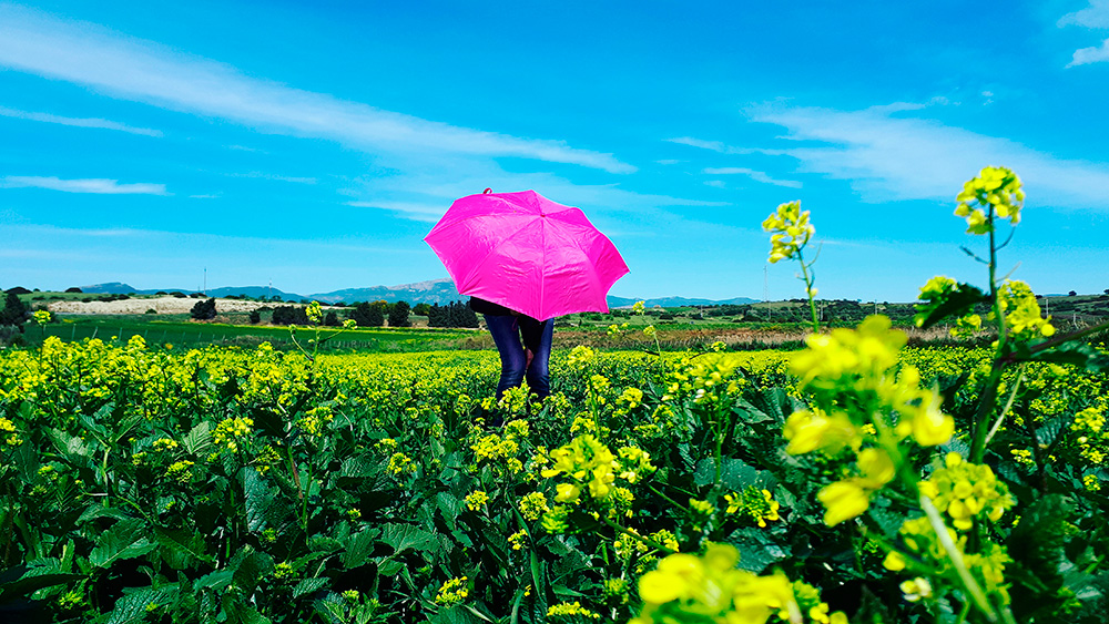 Spring Dance - Ambu-Picci Production