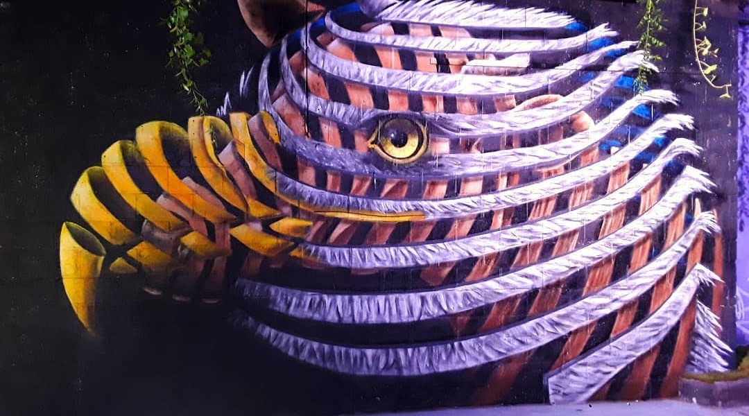 Cee Pil @Brussels, Belgium