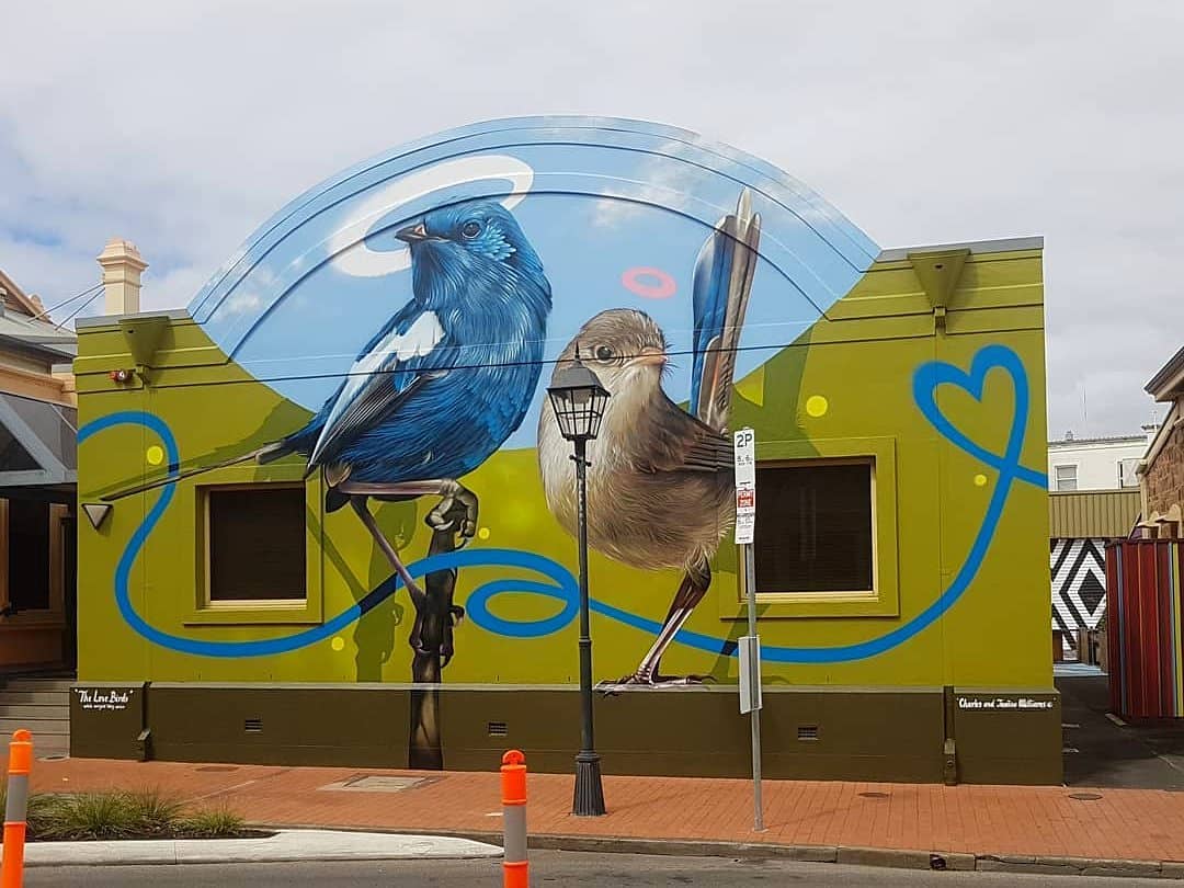 Charles Williams @Adelaide, Australia