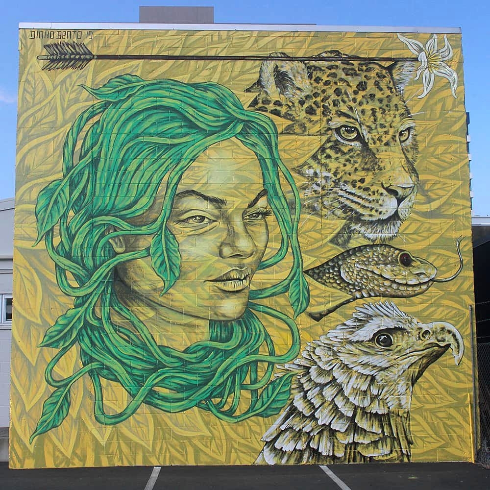 Dinho Bento @Hamilton, New Zealand