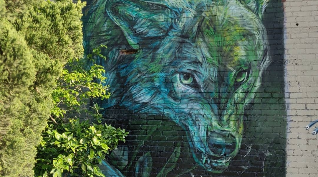 Emily Ding @Los Angeles, USA