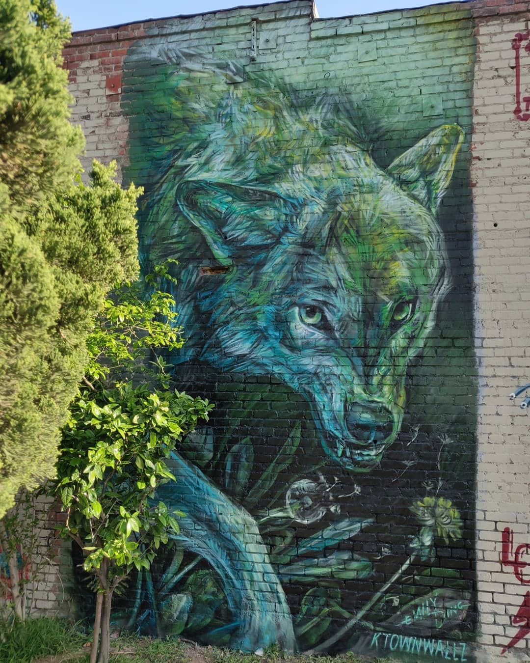 Emily Ding @Los Angeles, USA