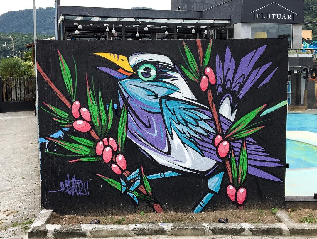 Garu @Florianopolis, Brazil