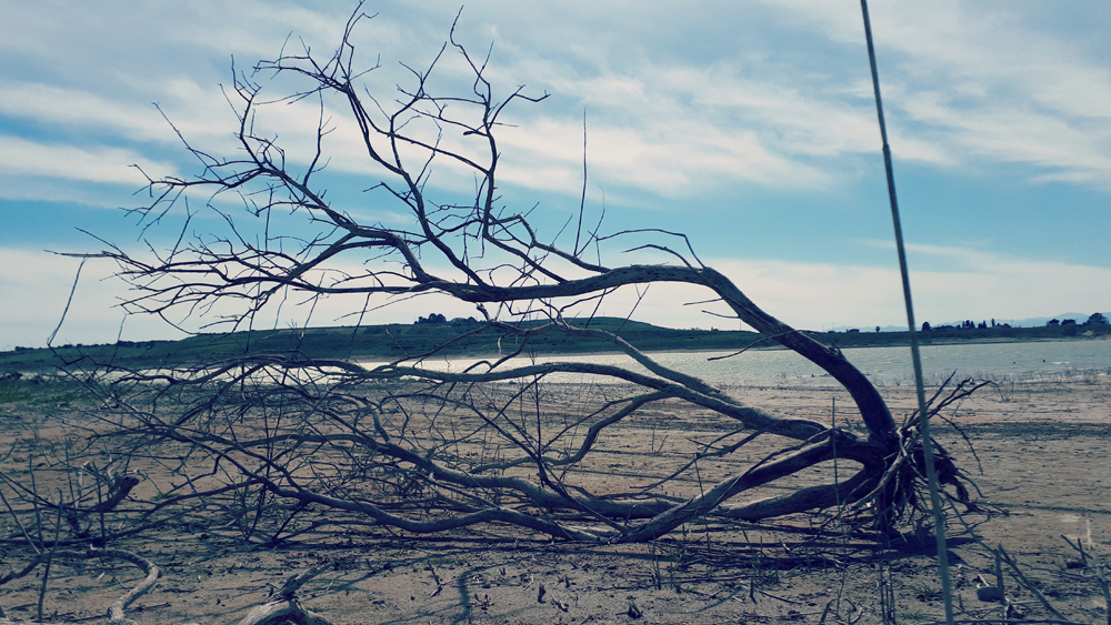 Accoglimi nel grembo del tuo silenzio. Ambu-Picci Production