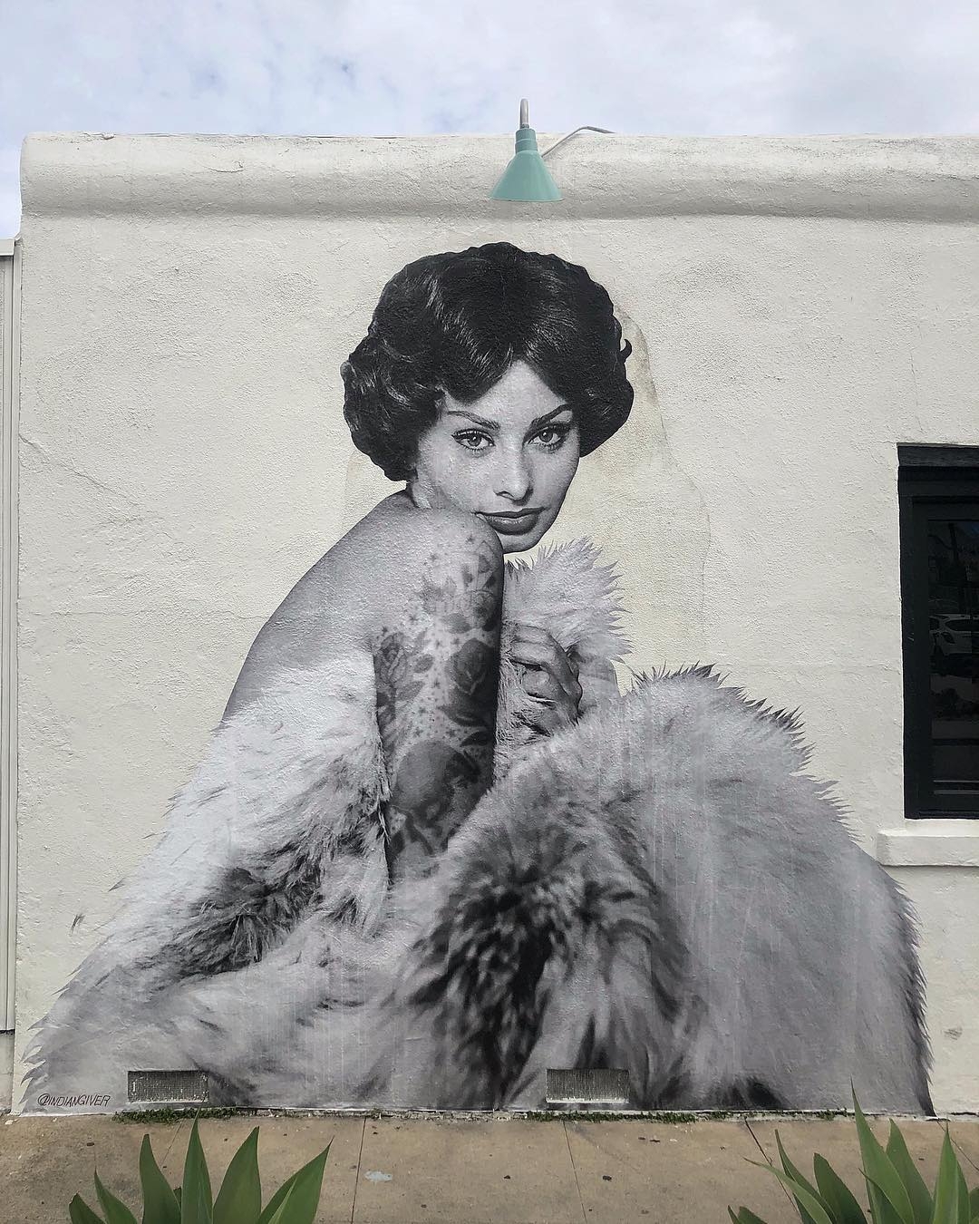 Indiangiver @Los Angeles, CA, USA Indiangiver @Los Angeles, CA, USA