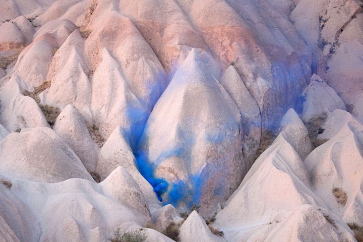 "The Blossom Project" by Isabelle Chapuis and Alexis Pichot