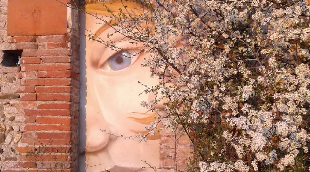 Korail @Blagnac, France