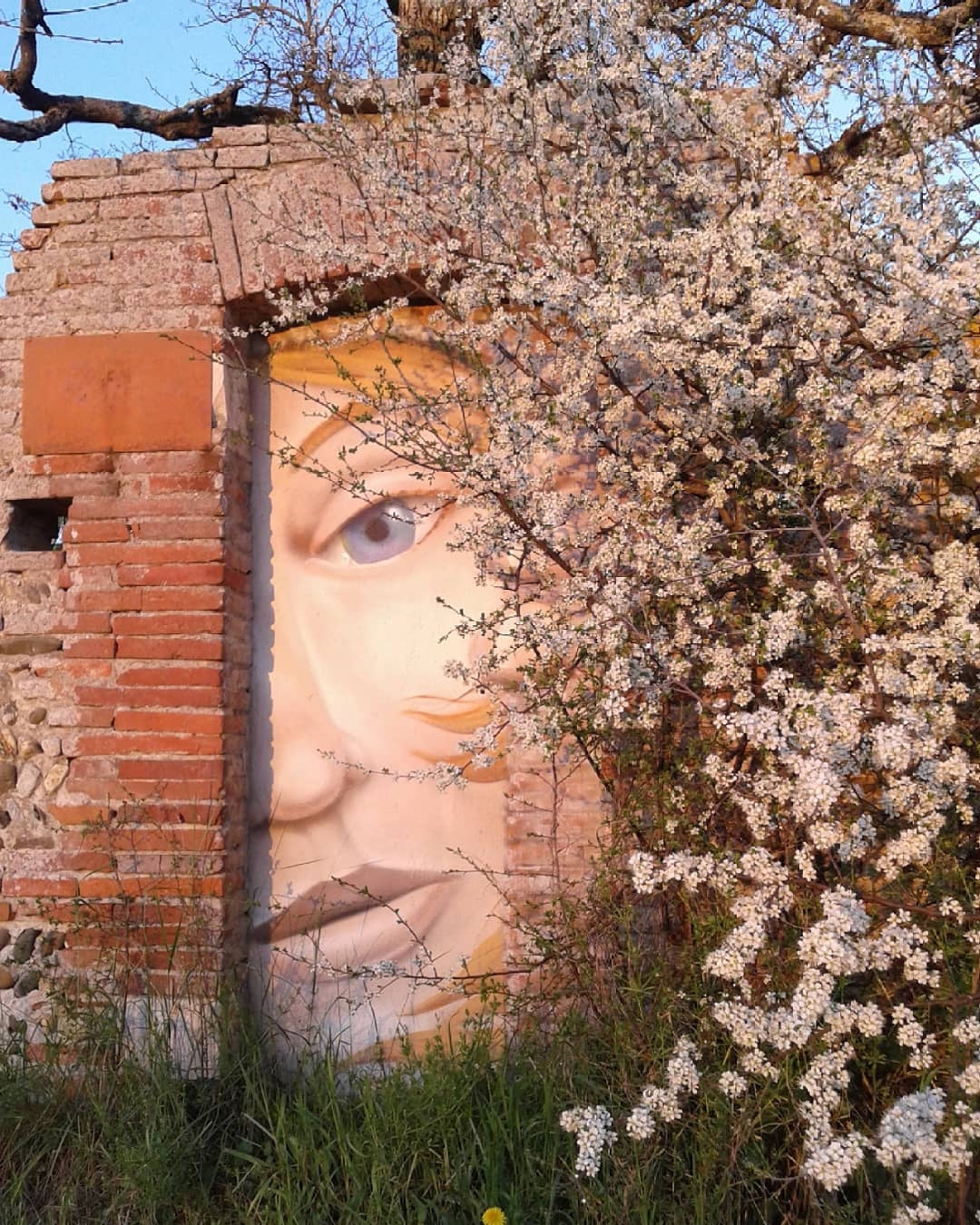 Korail @Blagnac, France