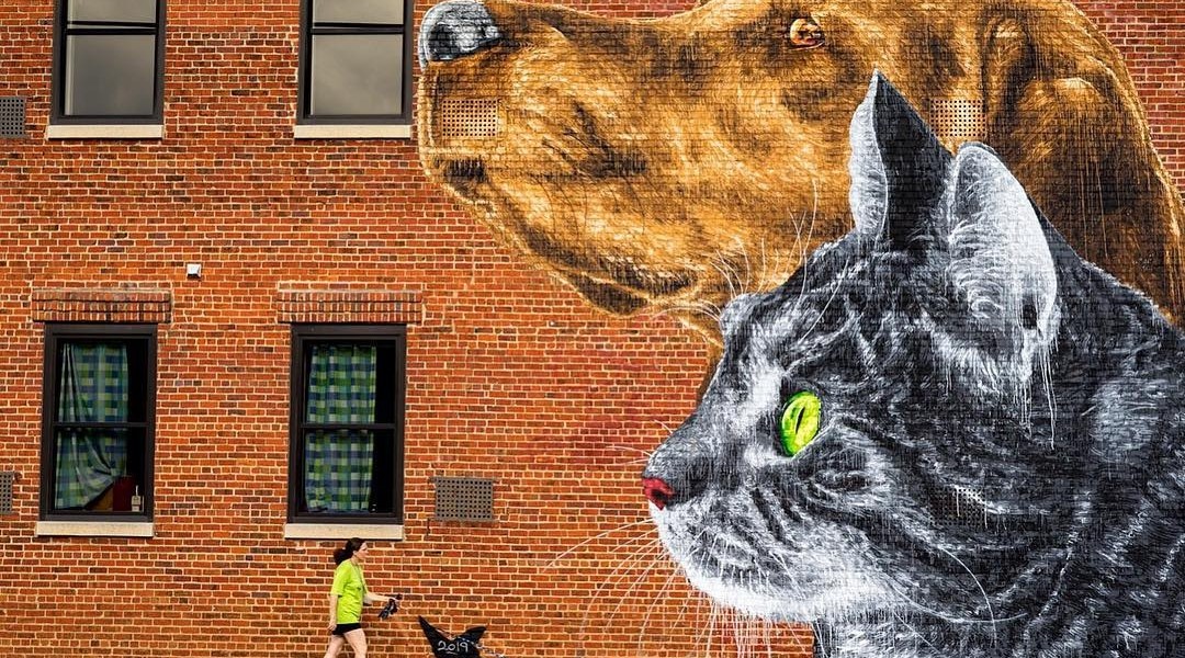 Nils Westergard @Richmond, Virginia, USA