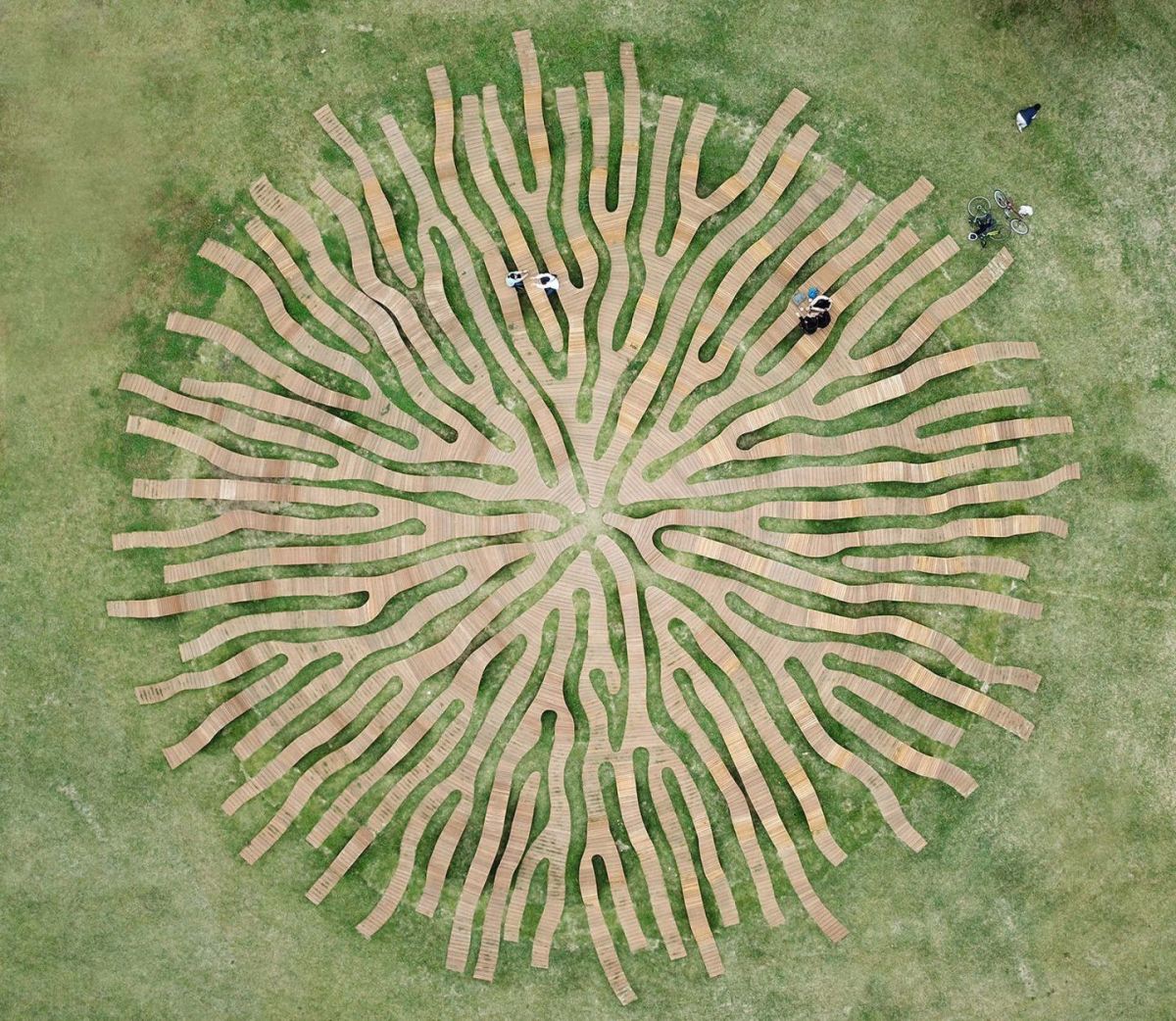 Root Bench by Yong Ju Lee. Photography by Kyungsub Shin