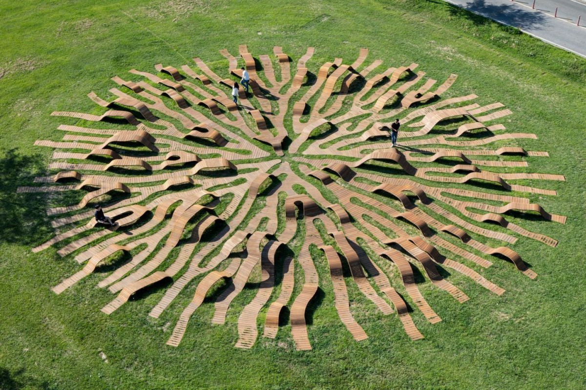 Root Bench by Yong Ju Lee. Photography by Kyungsub Shin