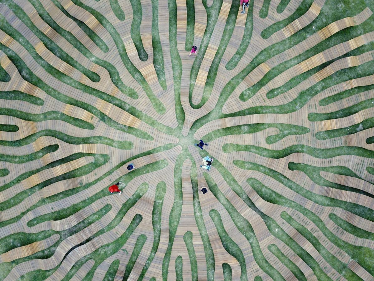 Root Bench by Yong Ju Lee. Photography by Kyungsub Shin