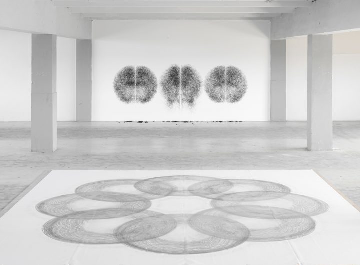 Tony Orrico