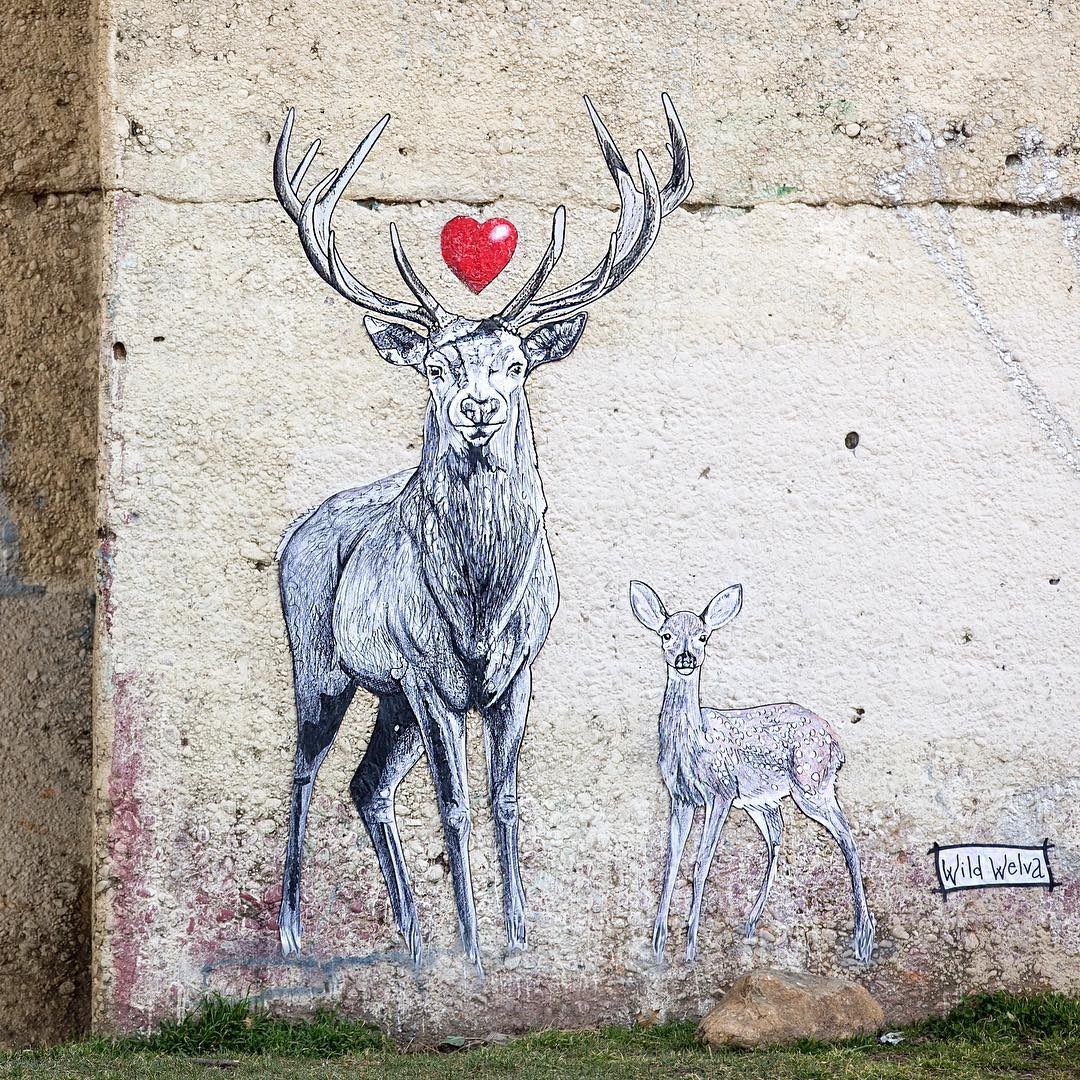 Wild Welva @New York, USA