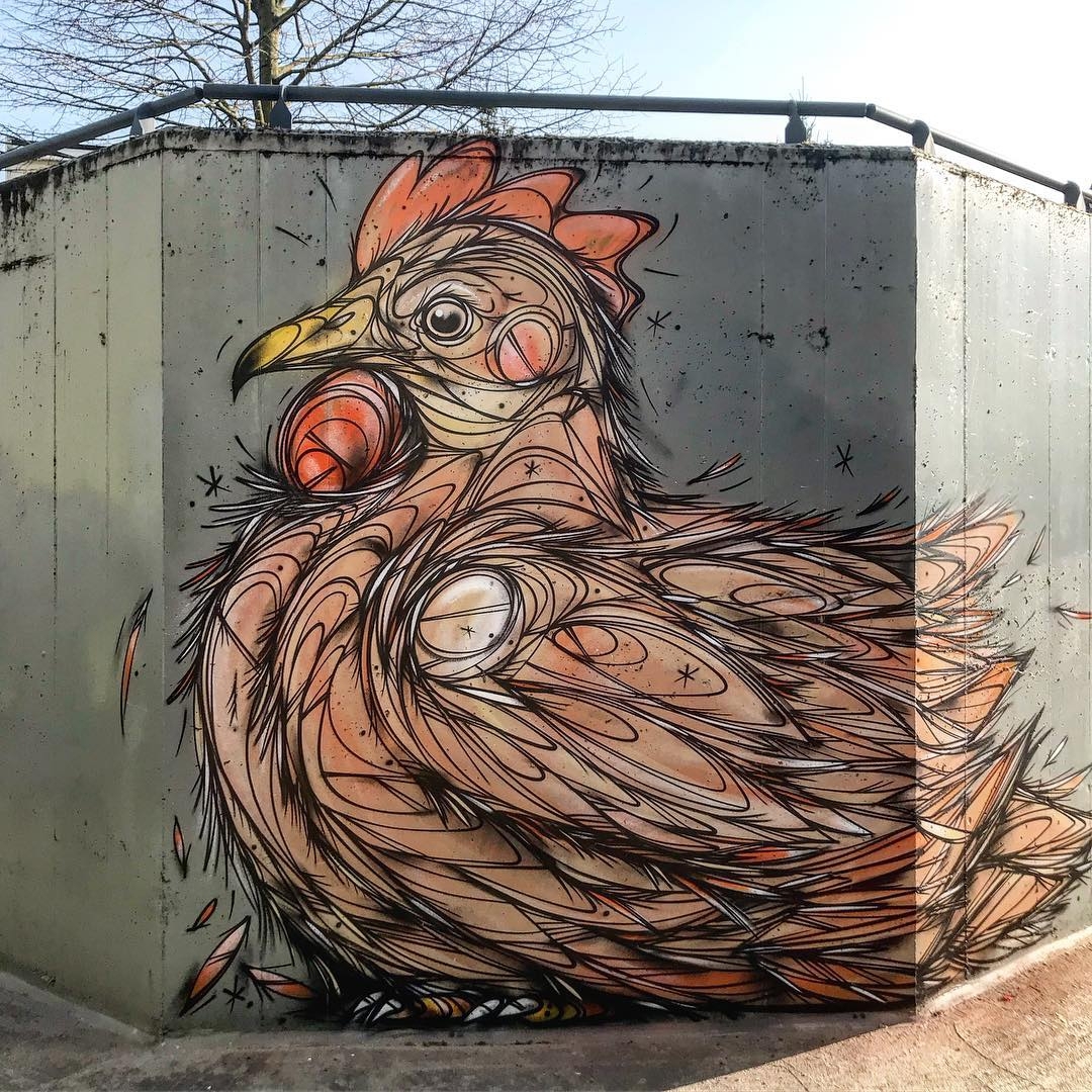 Dzia @Bornem, Belgium