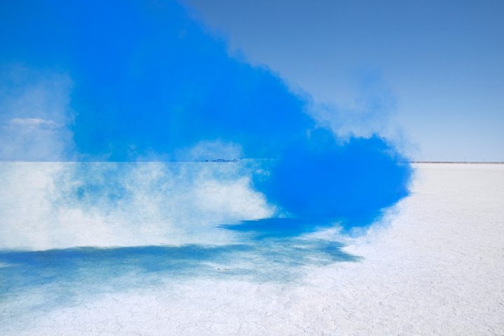 "The Blossom Project" by Isabelle Chapuis and Alexis Pichot