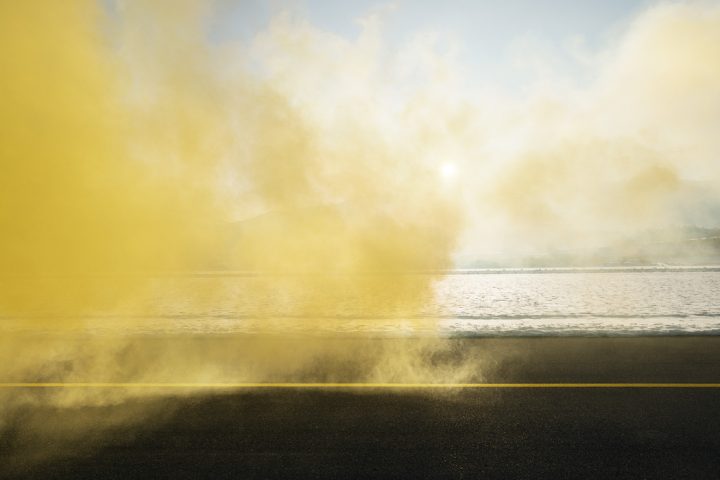 "The Blossom Project" by Isabelle Chapuis and Alexis Pichot