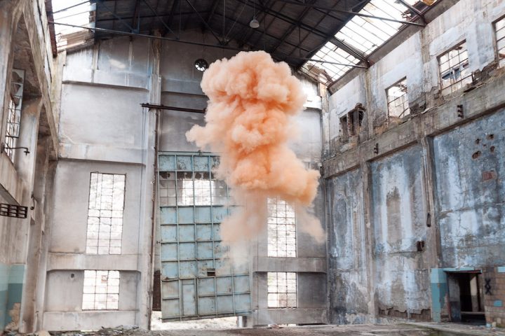 "The Blossom Project" by Isabelle Chapuis and Alexis Pichot