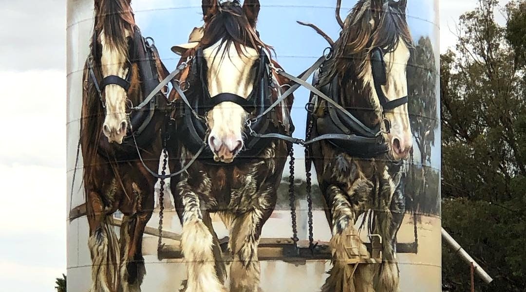 Jimmy DVate @ Goorambat, Australia