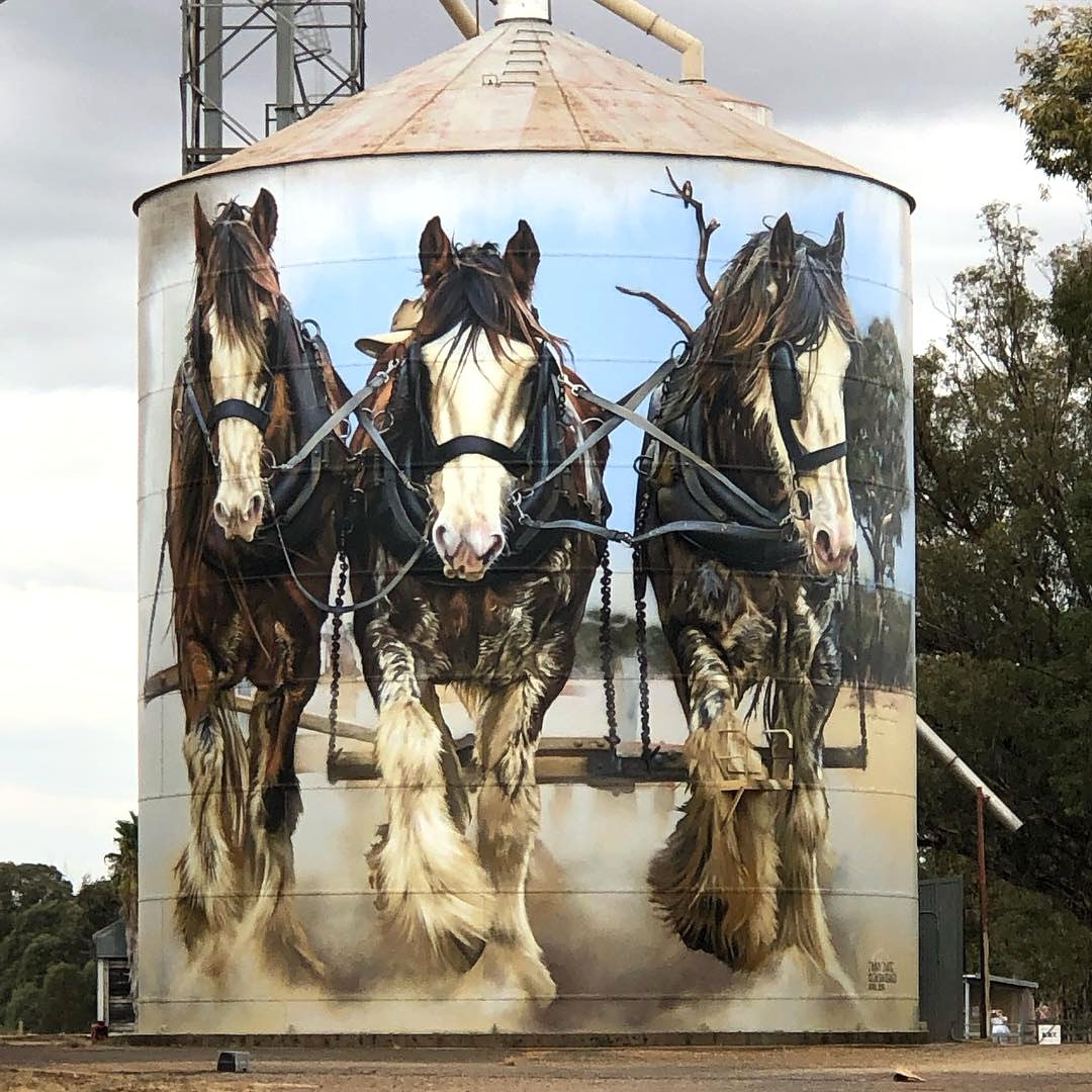 Jimmy DVate @ Goorambat, Australia