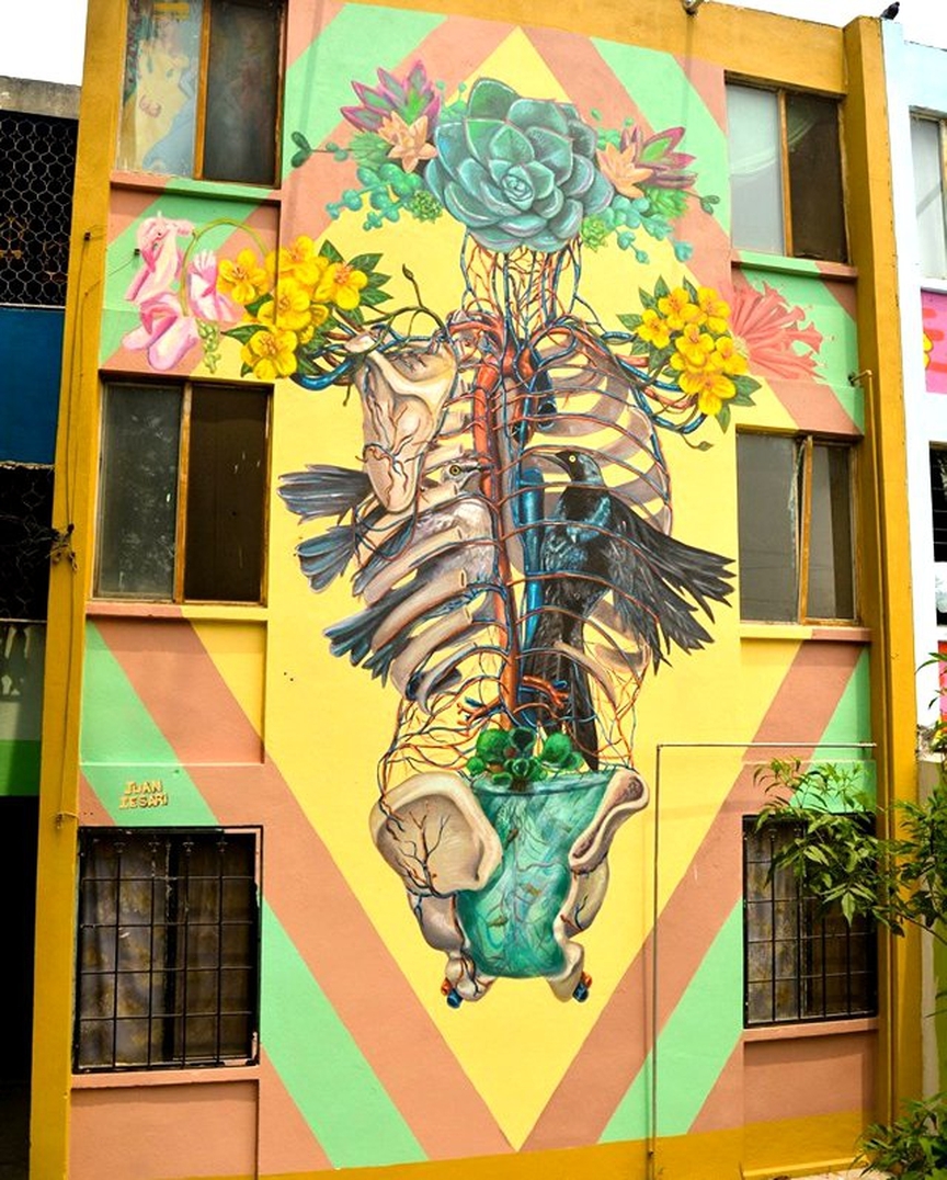 Juan Iesari @San Nicolás de los Garza, Monterrey, Mexico Juan Iesari @San Nicolás de los Garza, Monterrey, Mexico