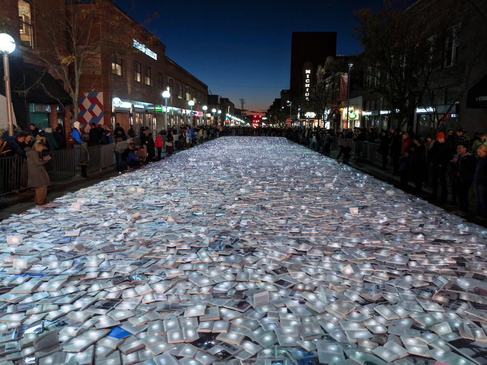 "Literature vs Traffic" by Luzinterruptus @ Ann Arbor, USA