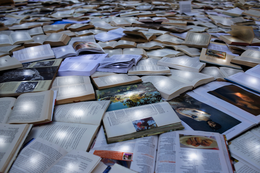 "Literature vs Traffic" by Luzinterruptus @ Ann Arbor, USA