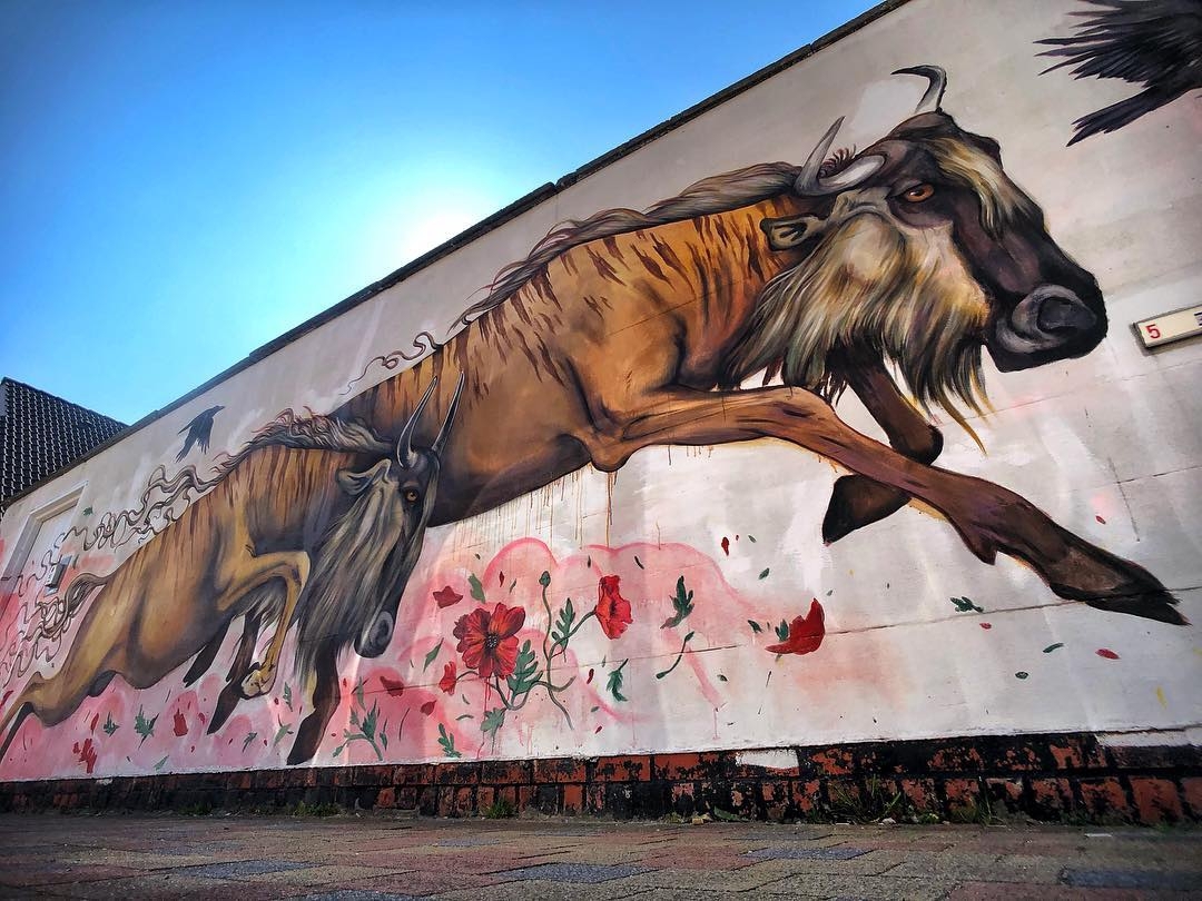 Bailon @Ostend, Belgium