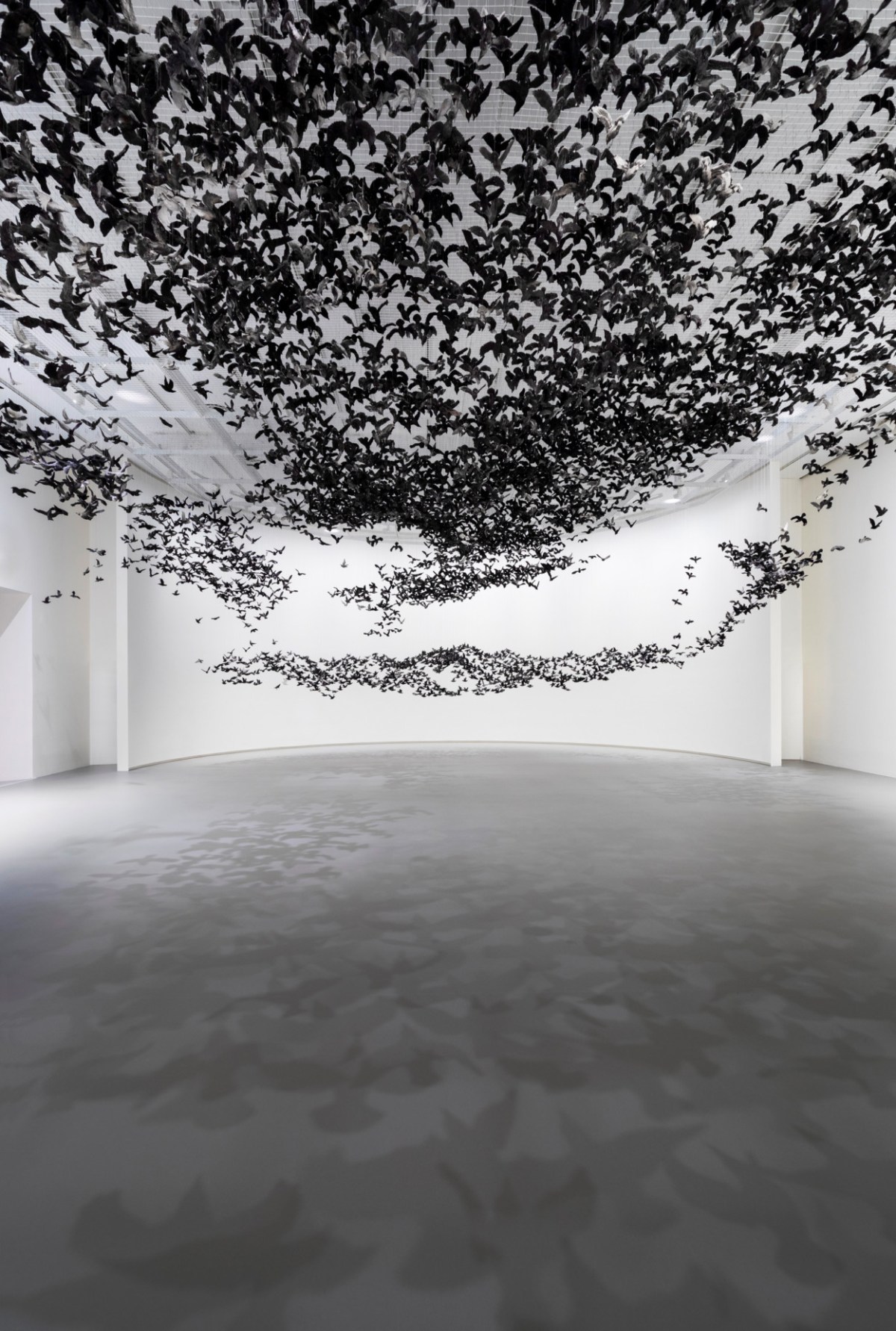 "Murmuration" by Cai Guo-Qiang