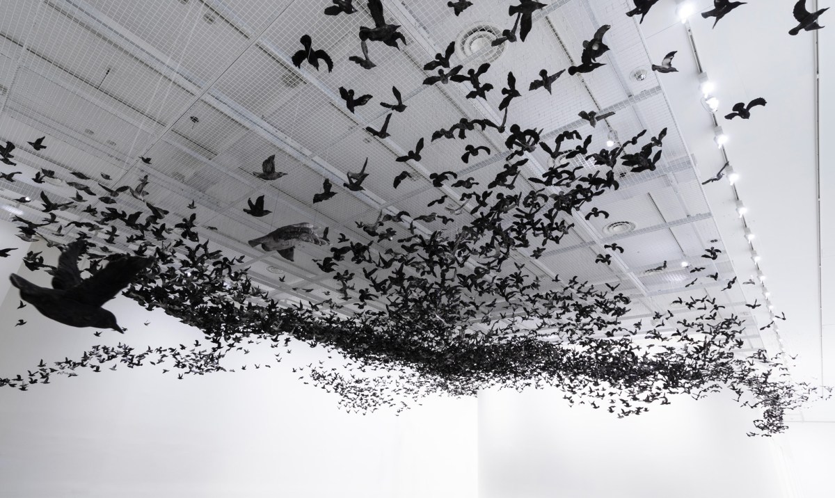 "Murmuration" by Cai Guo-Qiang