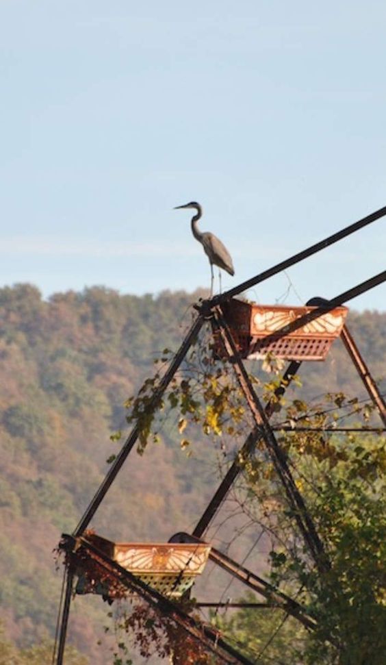 Parco divertimenti negli USA