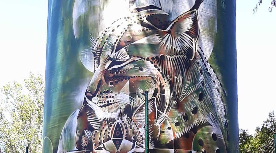 Sea162 @ Garcibuey, Spain