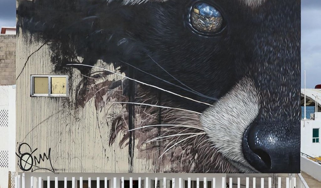 Sonny @ San Miguel de Cozumel, Mexico