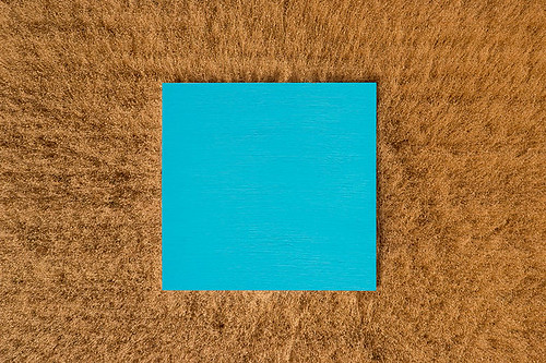 Stupid Borders by Rubén Martín de Lucas