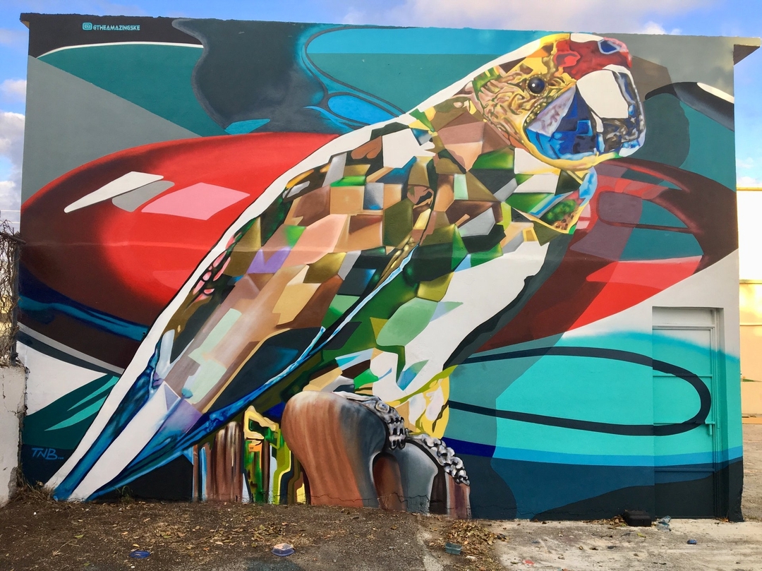 The Amazing SKE @Guanica, Puerto Rico