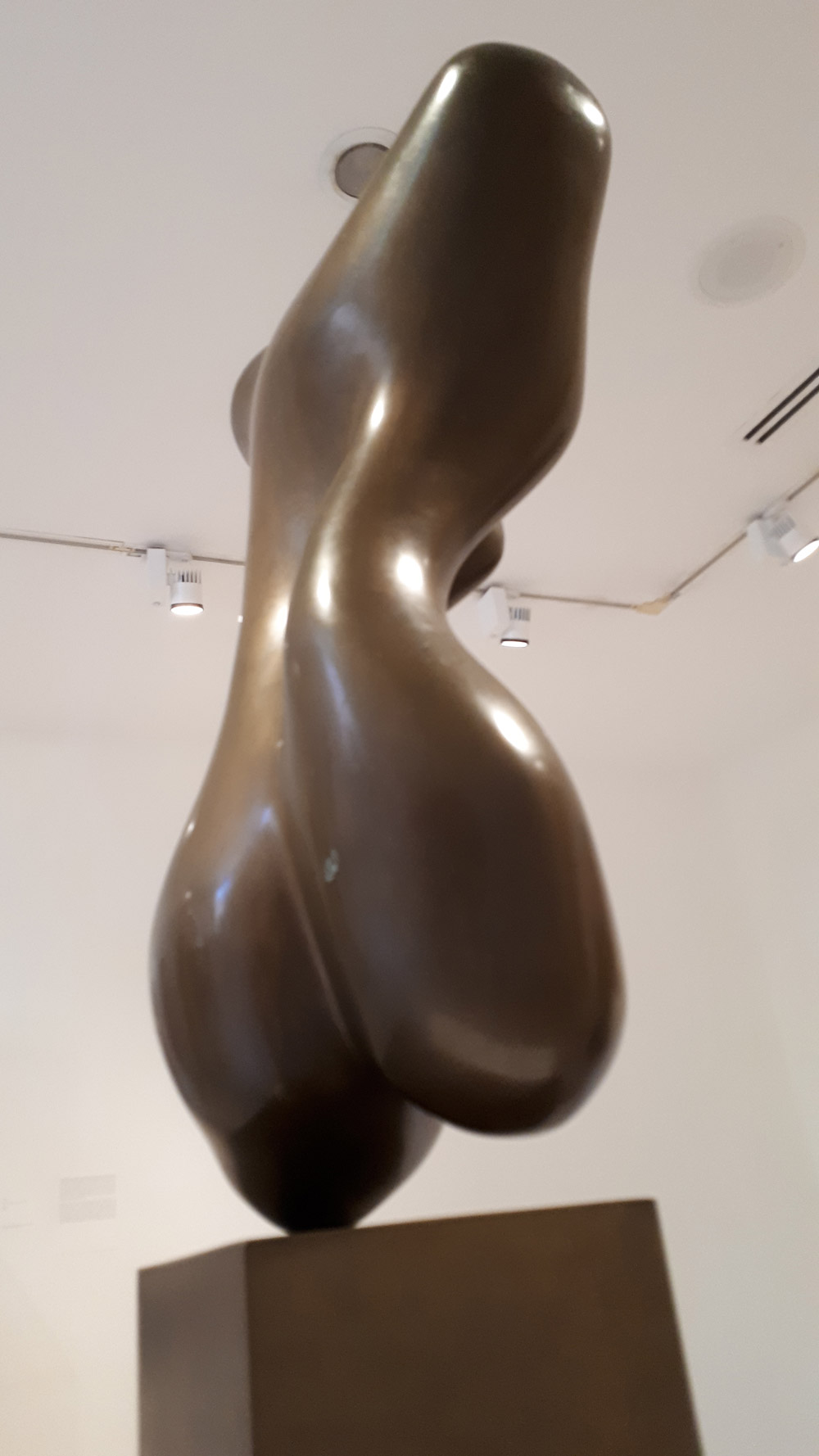 Jean Arp @ Collezione Peggy Guggenheim, Venice
