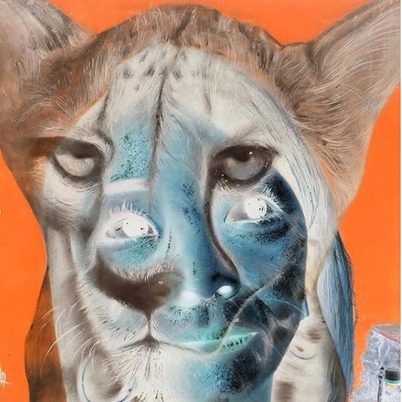 Mazola Marcnou @Embu das Artes, SP, Brazil