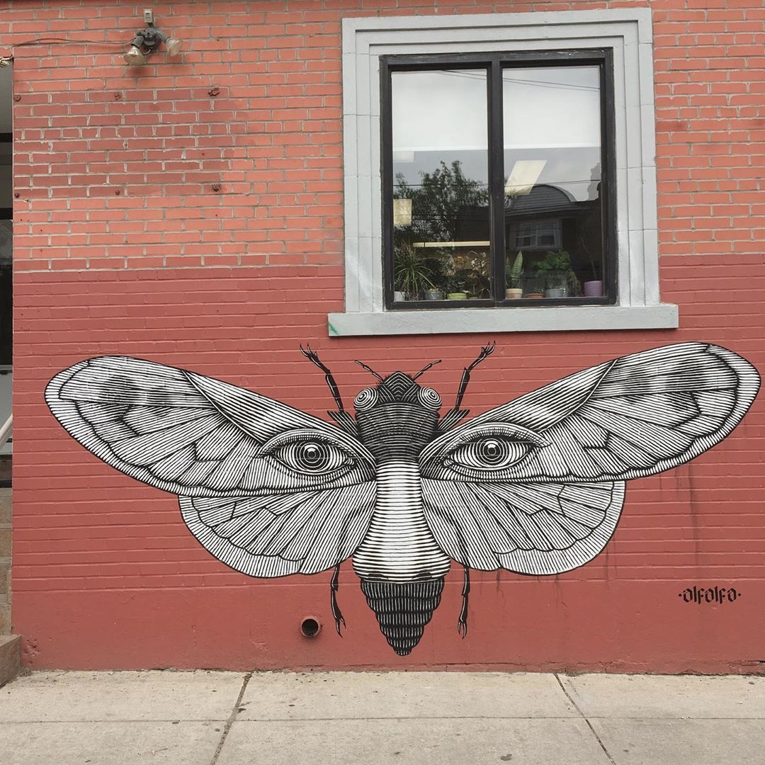 Nicolas Alfalfa @Toronto, Canada