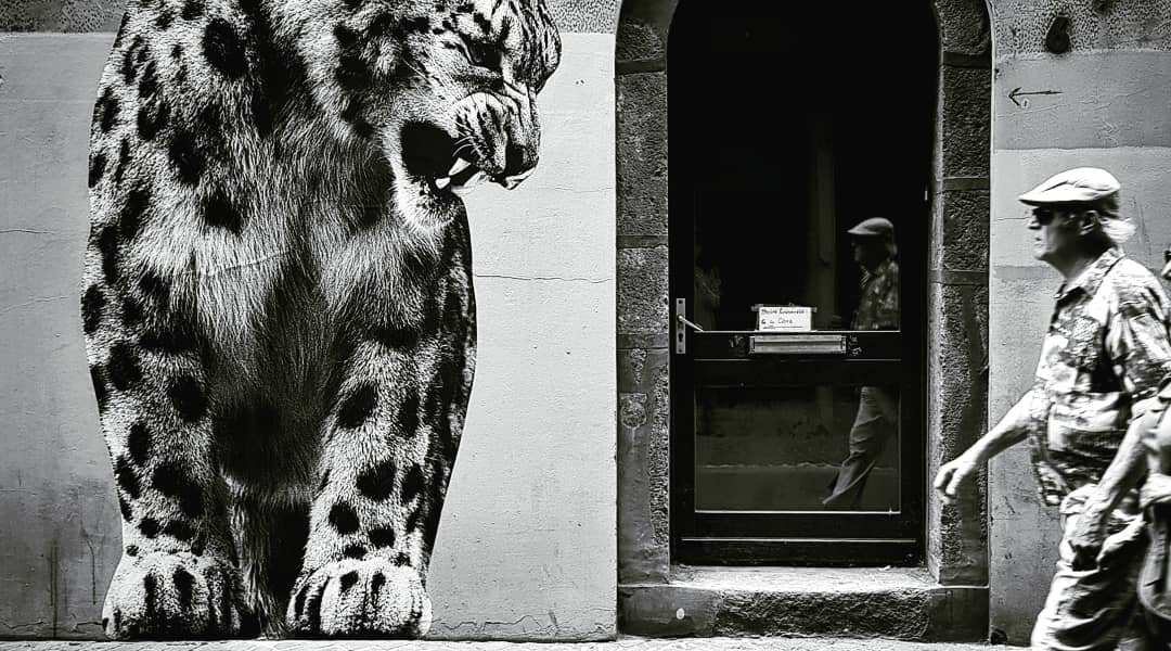 SONAC by Sophie photographe @ Grenoble, France