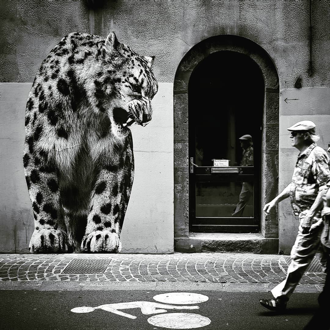 SONAC by Sophie photographe @ Grenoble, France