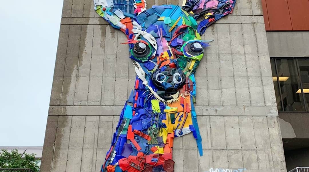 Bordalo II @Gatineau, Canada