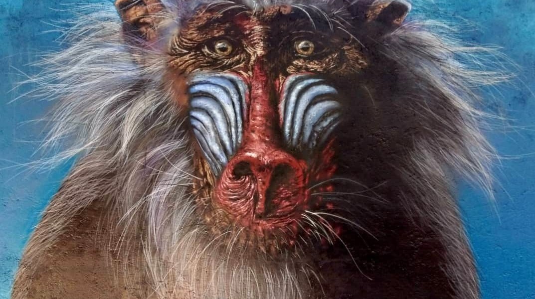 Franc Mun @ Mexico City