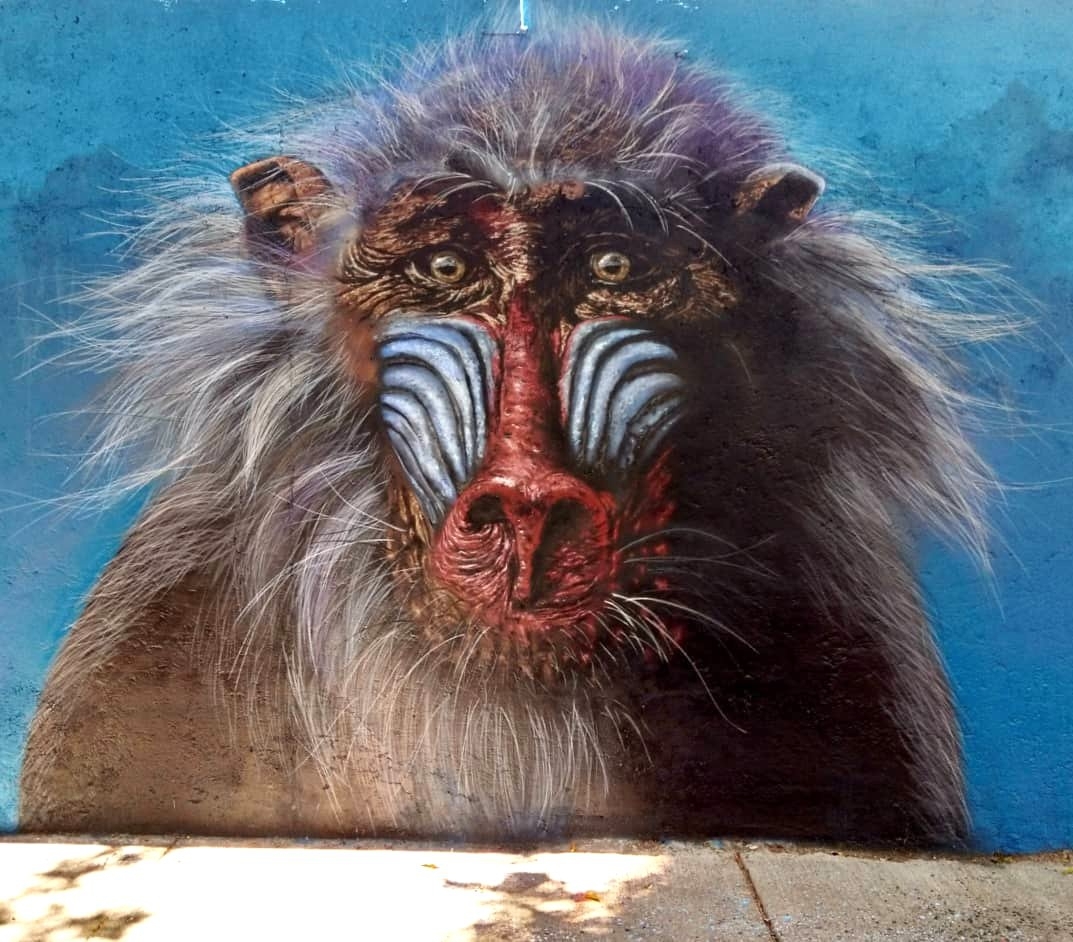 Franc Mun @ Mexico City