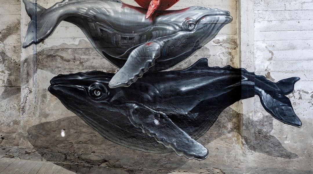 Nevercrew @Lugano, Switzerland