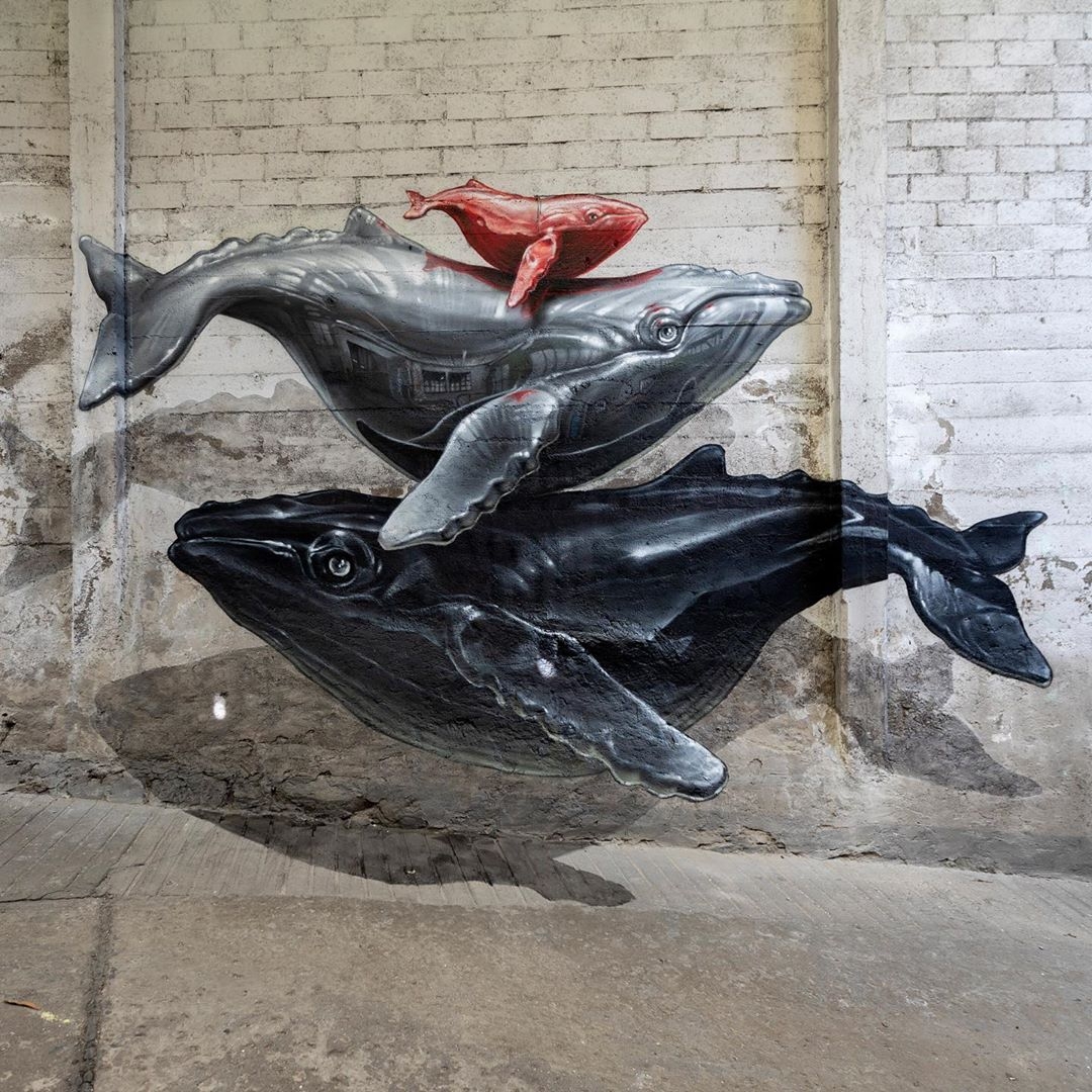 Nevercrew @Lugano, Switzerland