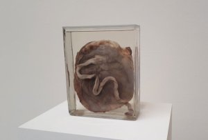 Origin of the world (2018) by Alexandra Bircken