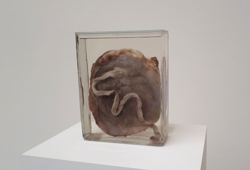 Origin of the world (2018) by Alexandra Bircken