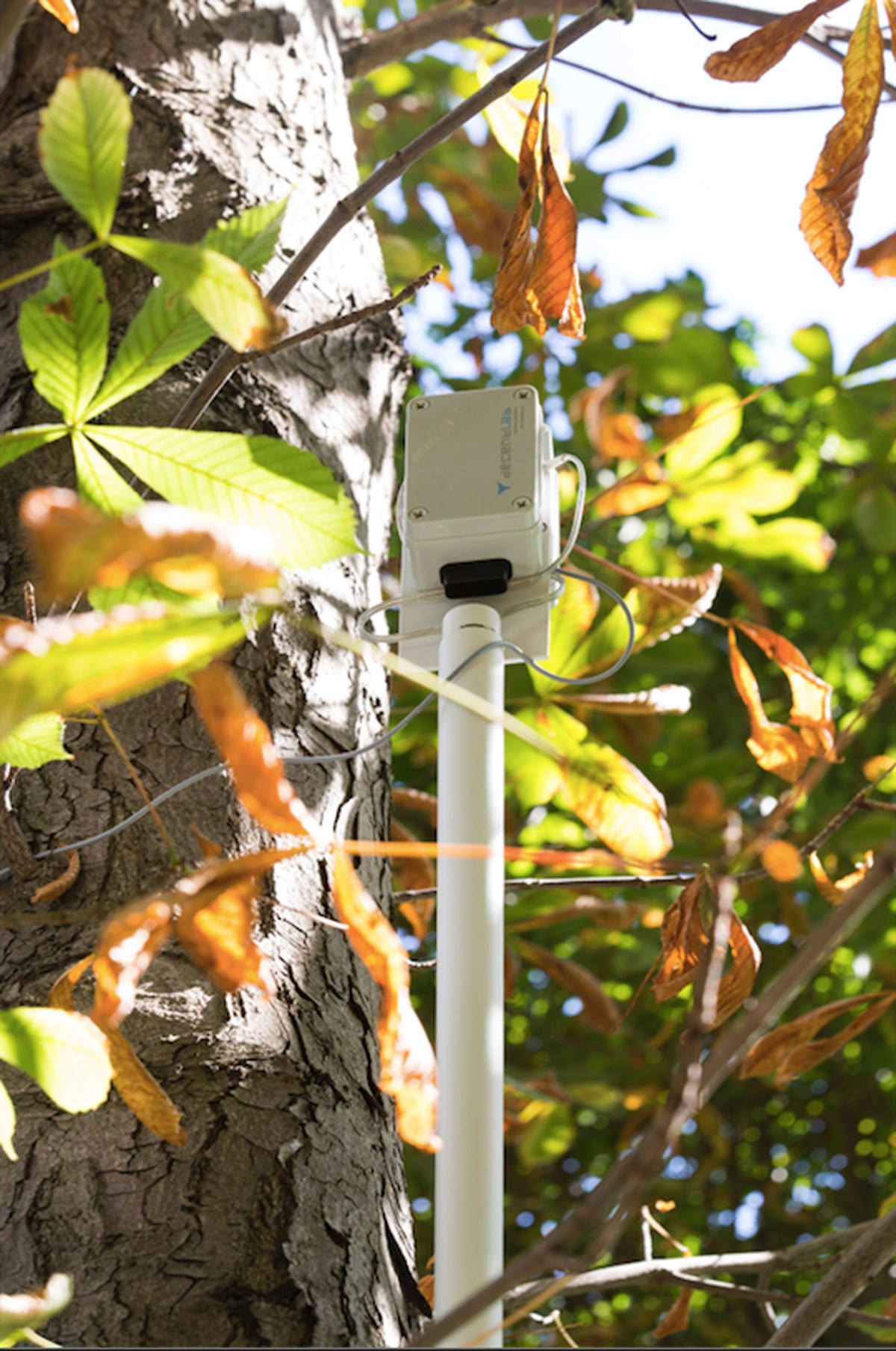 Symbiosia @ Fondazione Cartier, Parigi. Fotografia di Thibaut Voisin