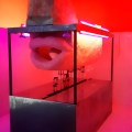Prince·sse·s des villes @ Palais de Tokyo