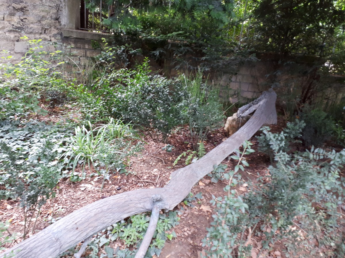 Giuseppe Penone @ Fondation Cartier, Paris